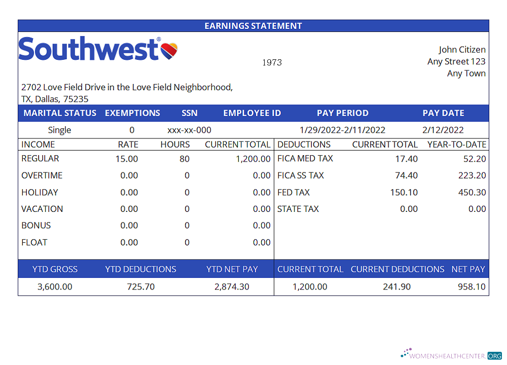 Download USA Southwest Airlines airlines company pay stub Photoshop template